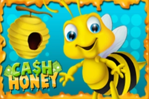 05566 cash honey
